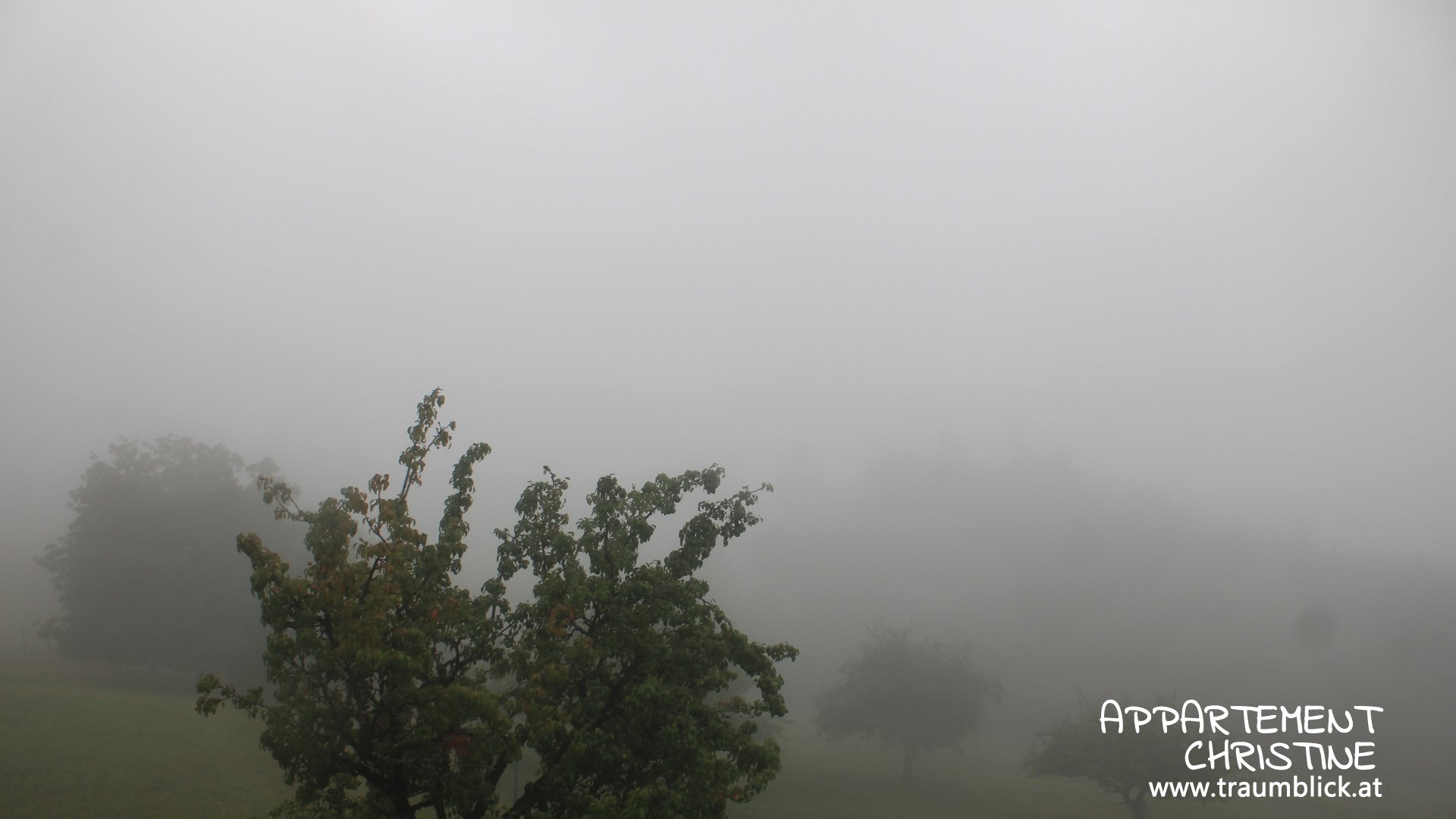 Live Ansicht Webcam Attersee | Höllengebirge