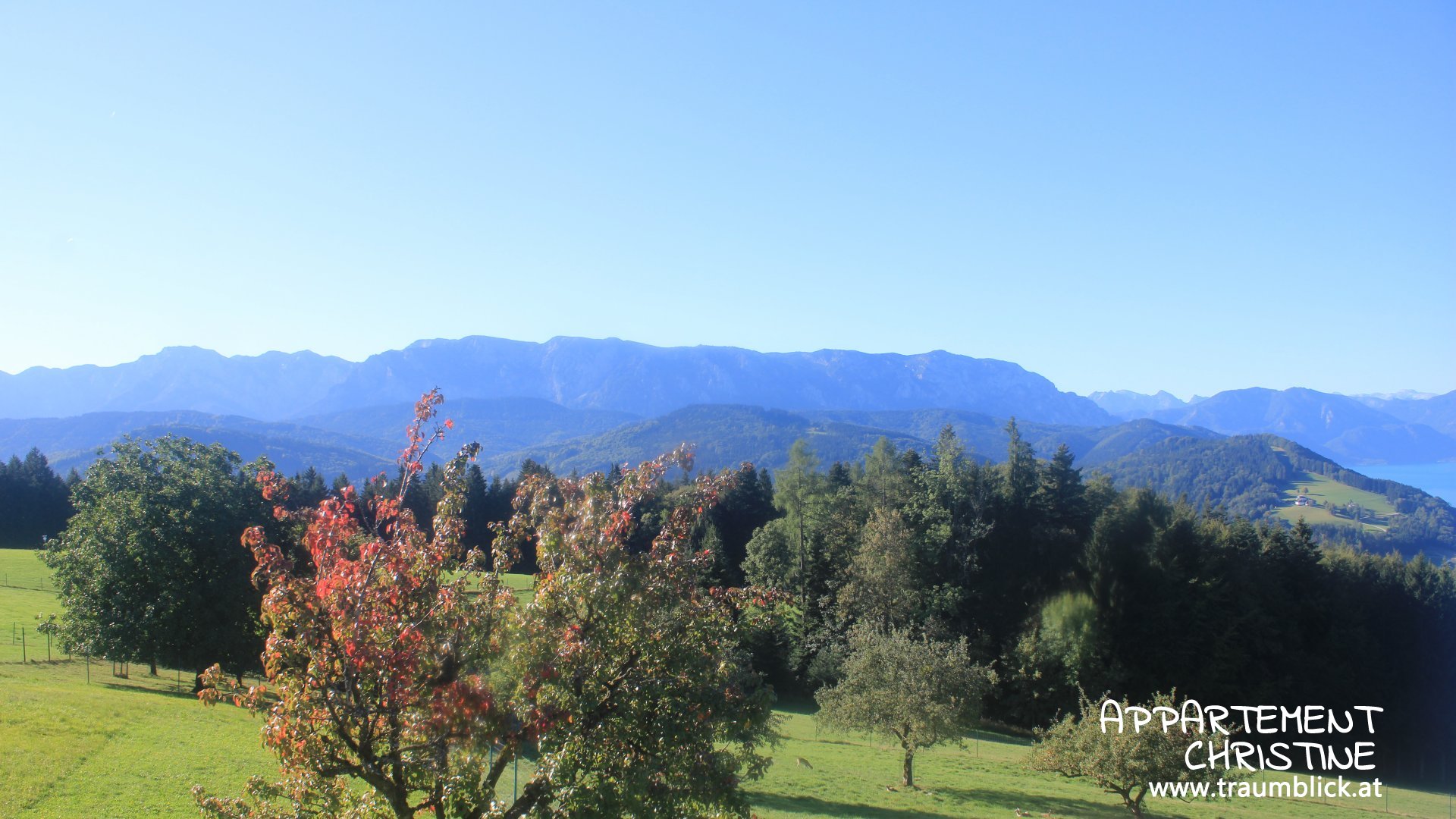 Live Ansicht Webcam Attersee | Höllengebirge