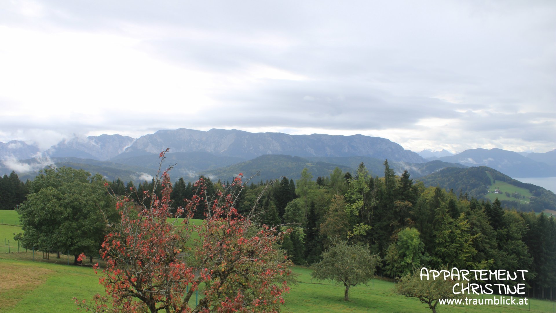 Live Ansicht Webcam Attersee | Höllengebirge