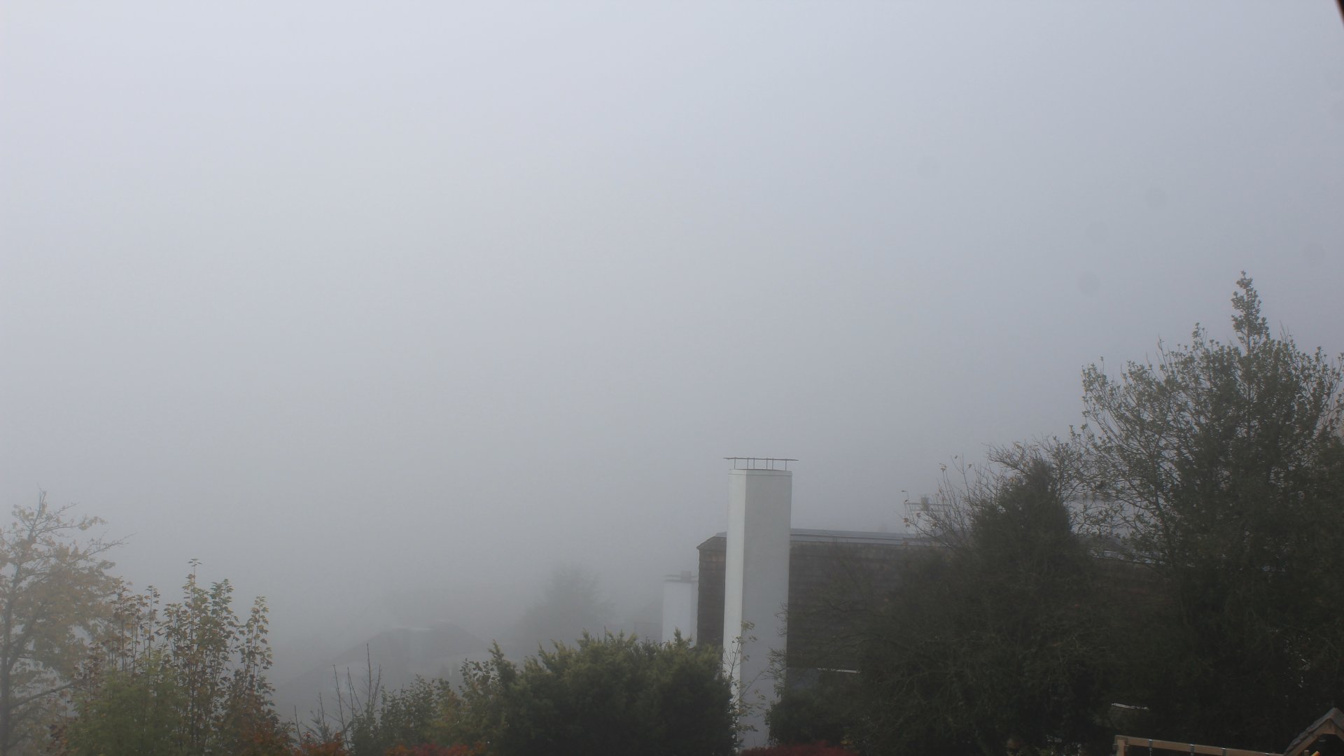 Live Ansicht Webcam Bad Pyrmont