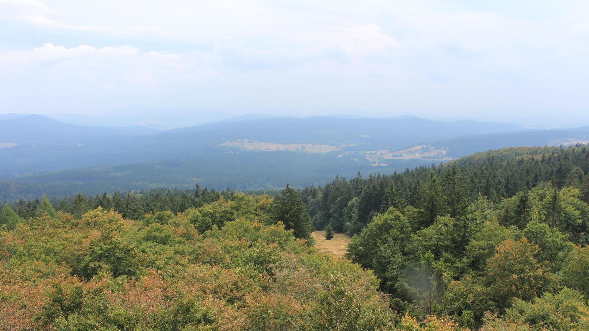 Live Ansicht Webcam Böhmerwaldturm-Süd