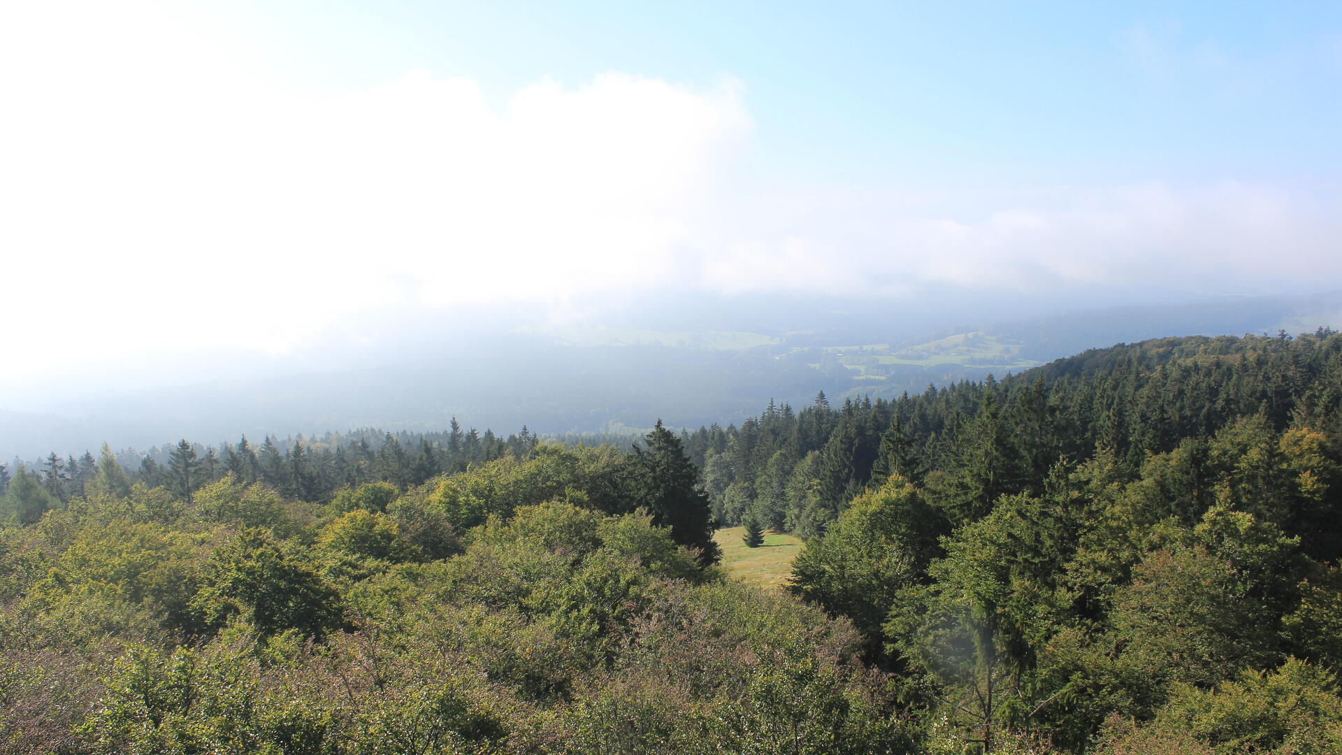 Live Ansicht Webcam Böhmerwaldturm-Süd