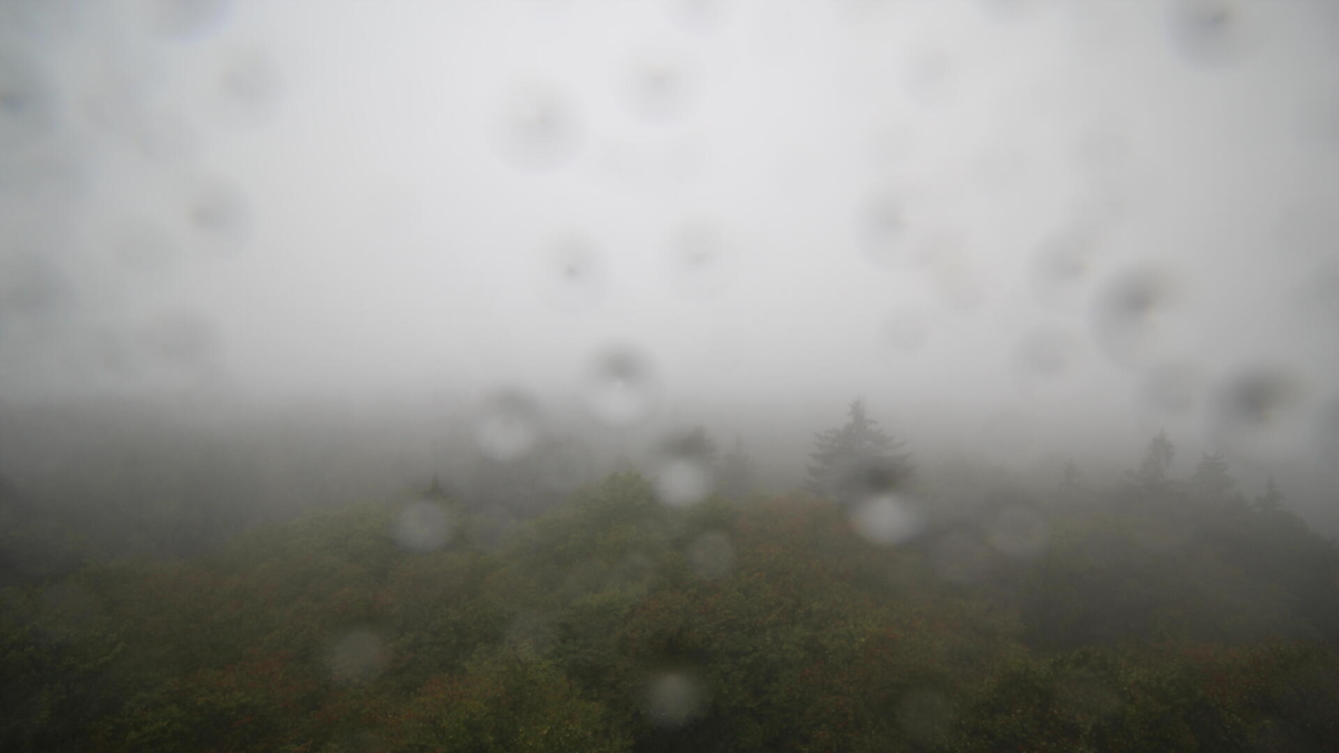 Live Ansicht Webcam Böhmerwaldturm-West
