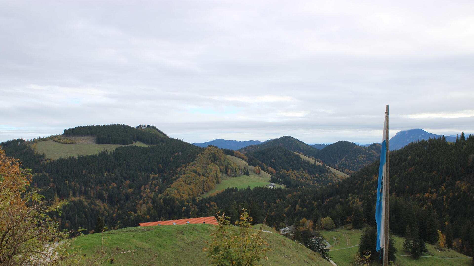 Live Ansicht Webcam Bründling Alm-Hochfelln