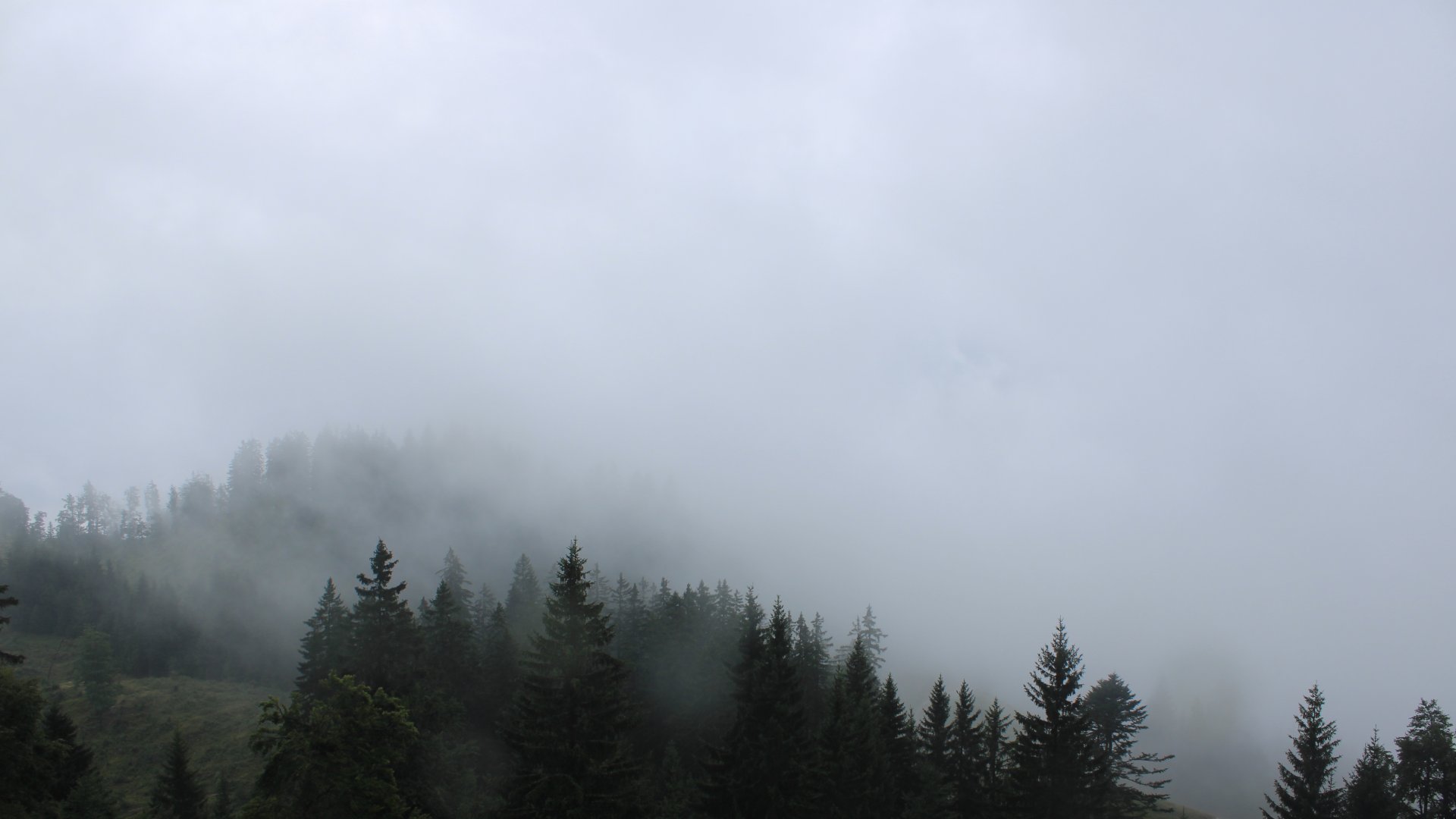 Live Ansicht Webcam Brünnsteinhaus