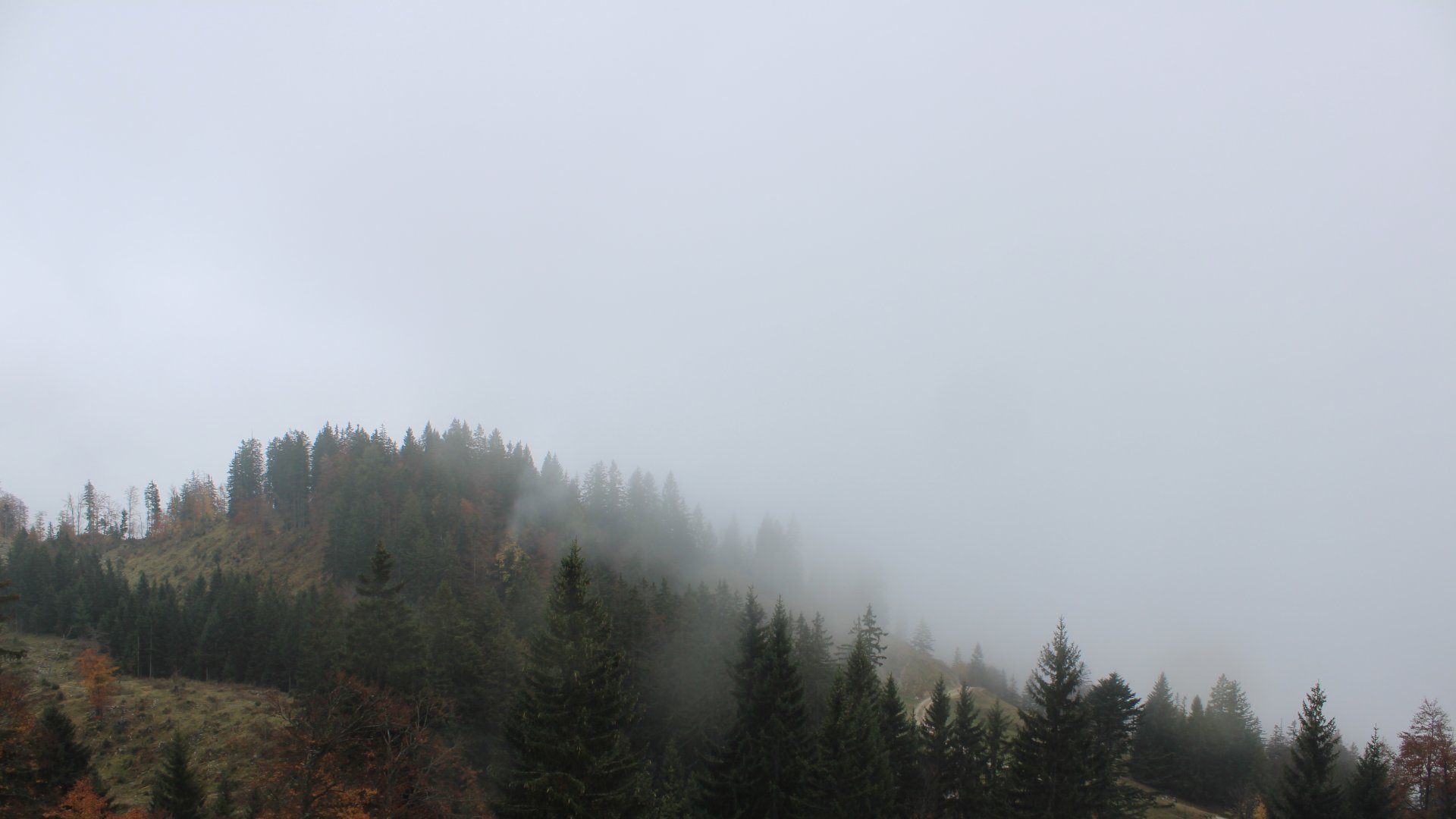 Live Ansicht Webcam Brünnsteinhaus