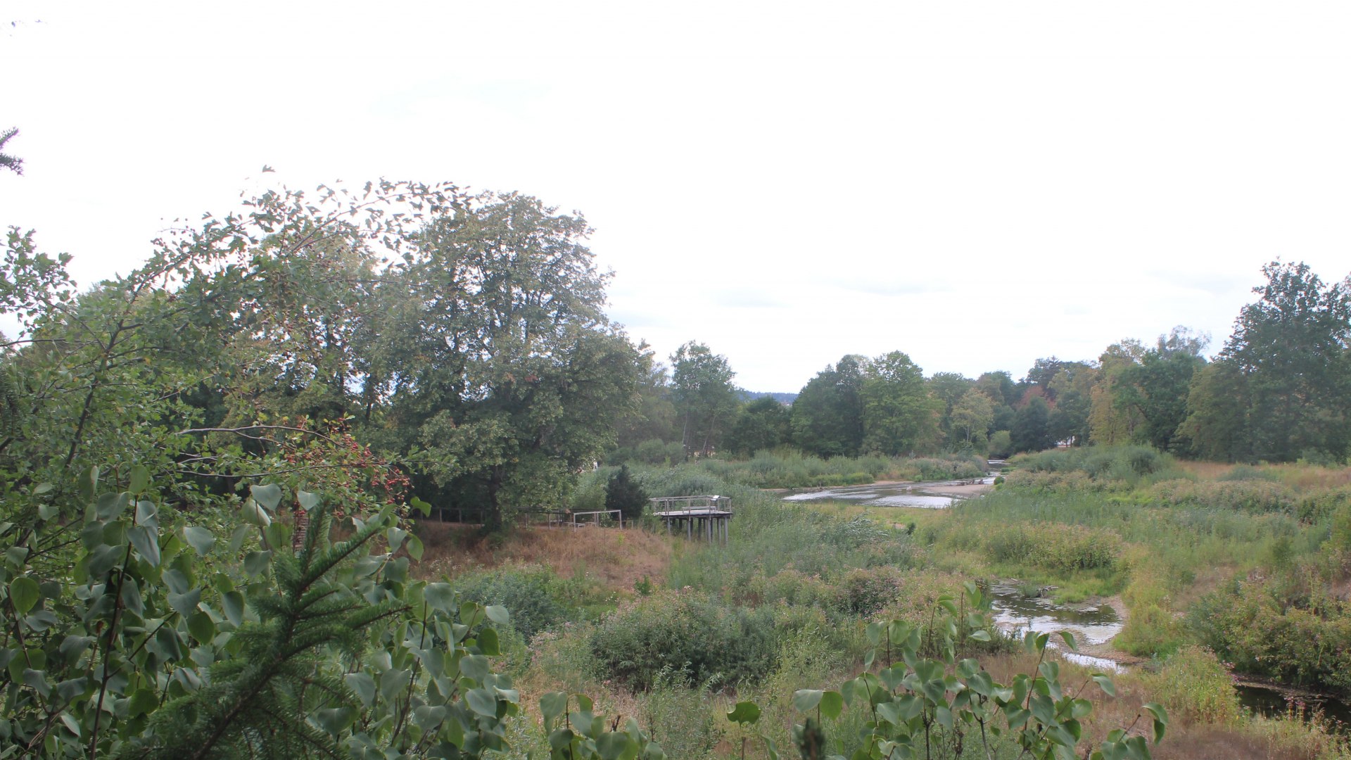 Live Ansicht Webcam Auepark Donauursprung (Alte Breg)