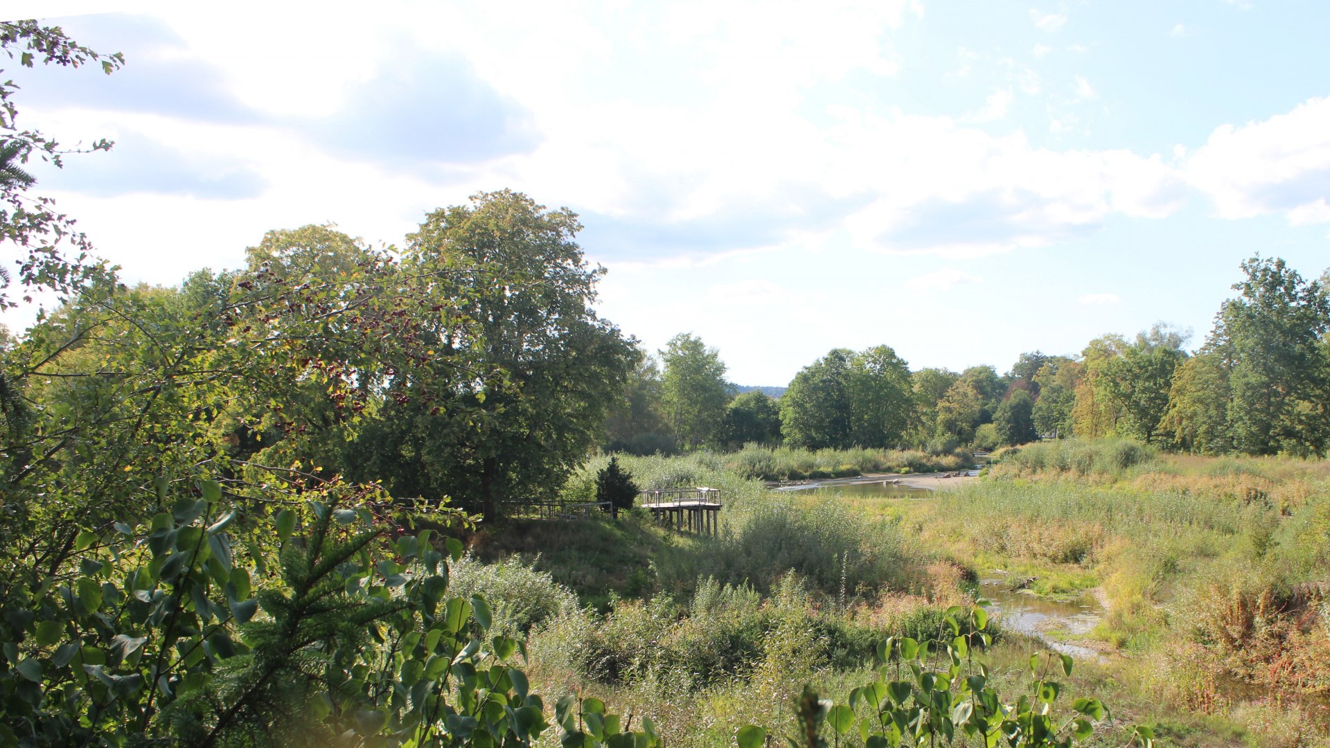 Live Ansicht Webcam Auepark Donauursprung (Alte Breg)