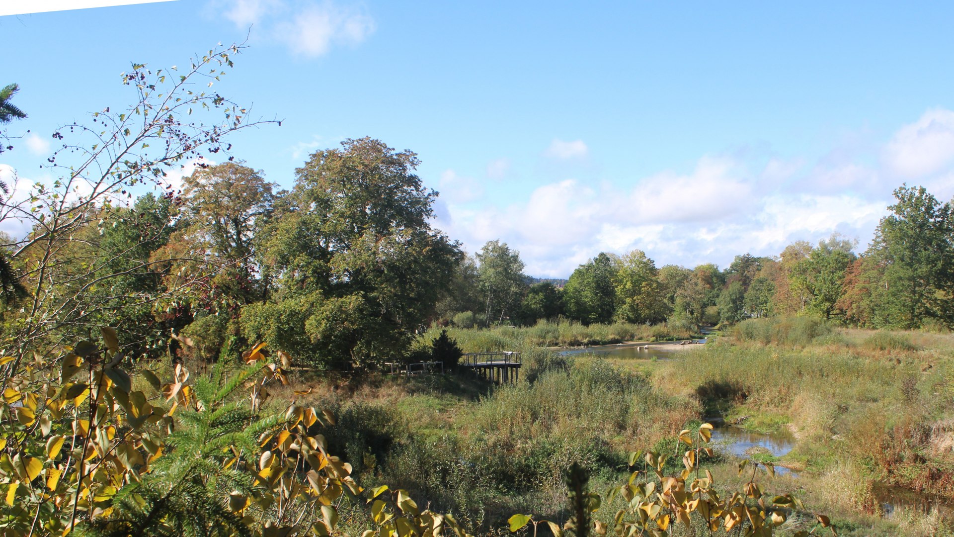 Live Ansicht Webcam Auepark Donauursprung (Alte Breg)