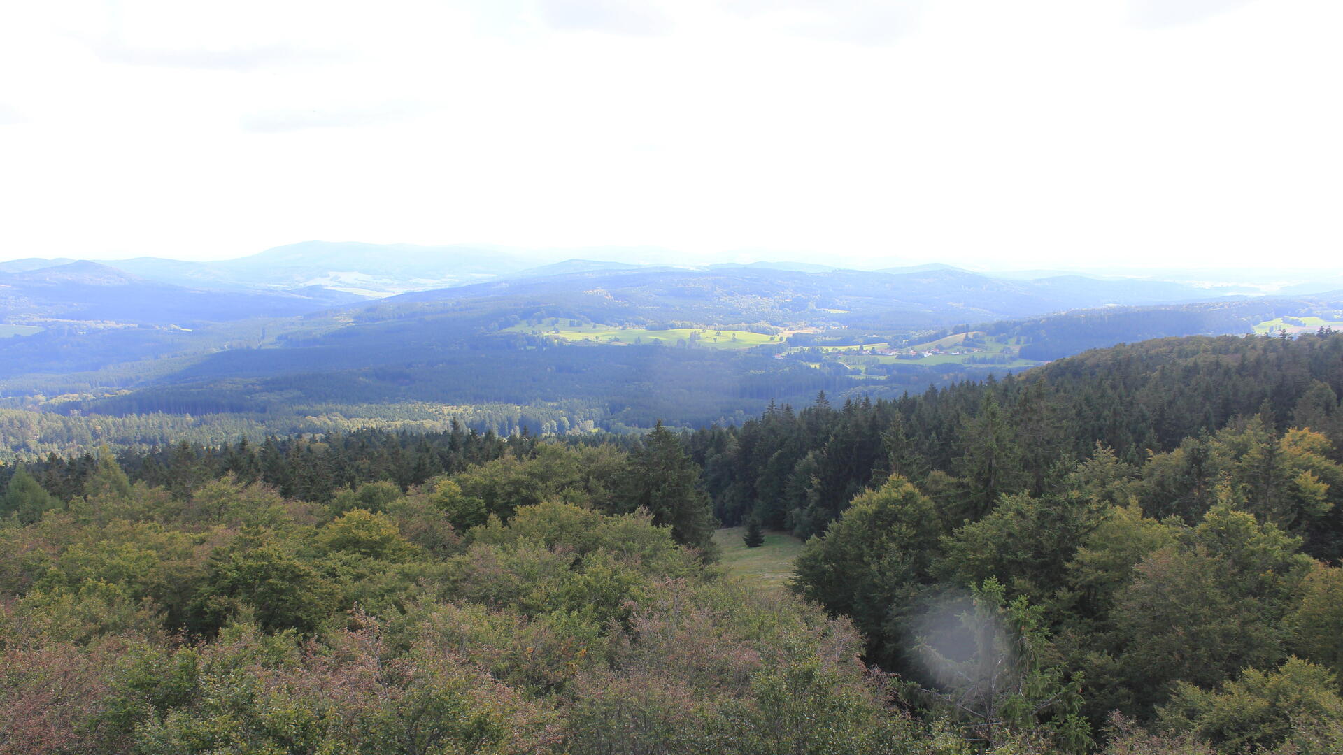 Live webcam view Bohemian Forest Tower South