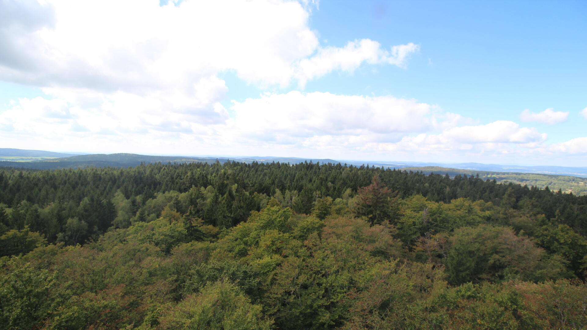Live webcam view Bohemian Forest Tower West