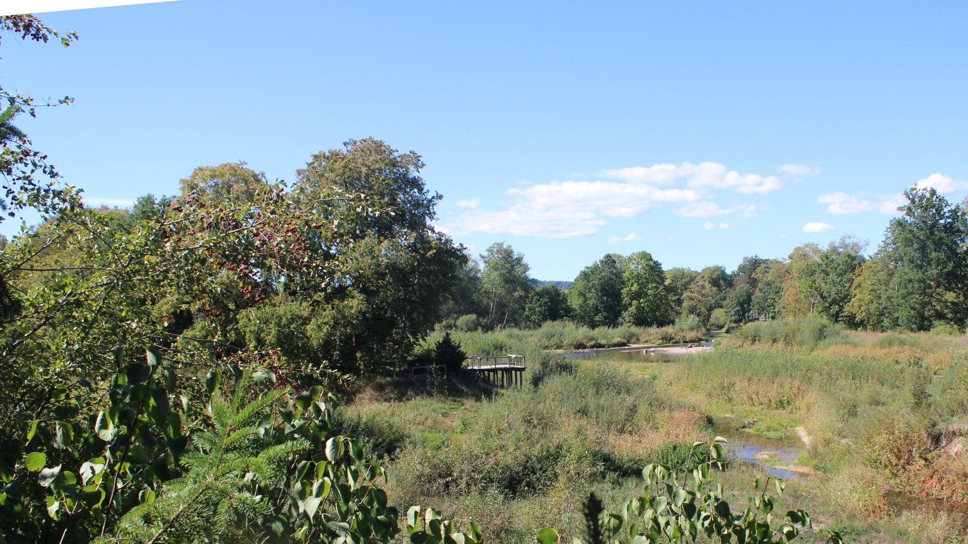 Live webcam view Auepark Donauursprung (Alte Breg)