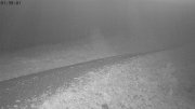 Heutal-Snow Stake
