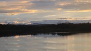 Hartsee