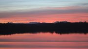 Hartsee