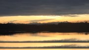 Hartsee