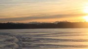 Hartsee