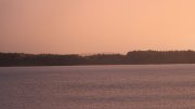 Hartsee