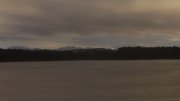 Hartsee