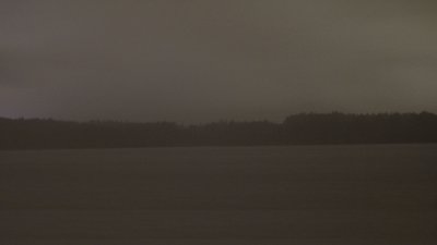 Hartsee