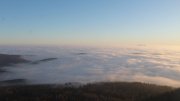 Hochwald