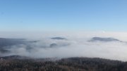 Hochwald