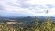 Hochwald