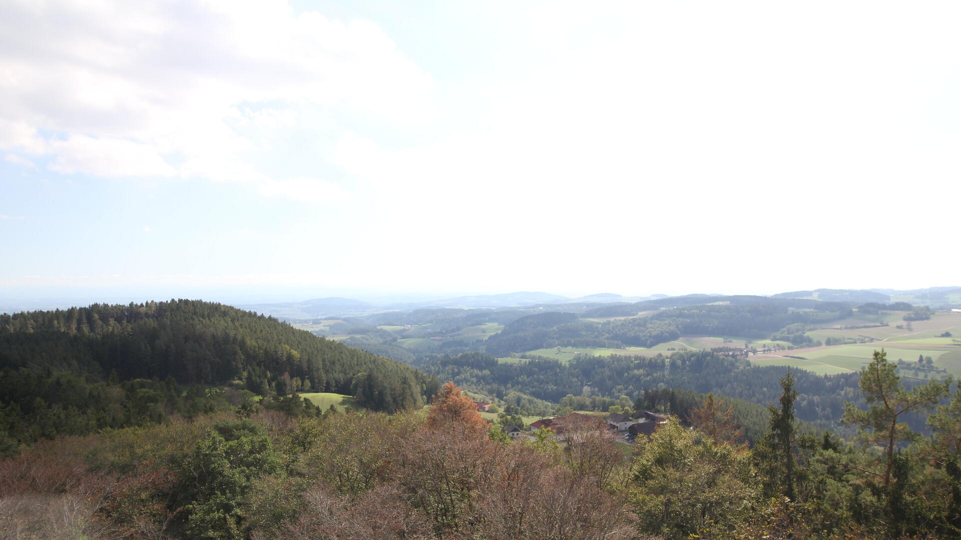 Live webcam view UpperTrails | Roadlberg