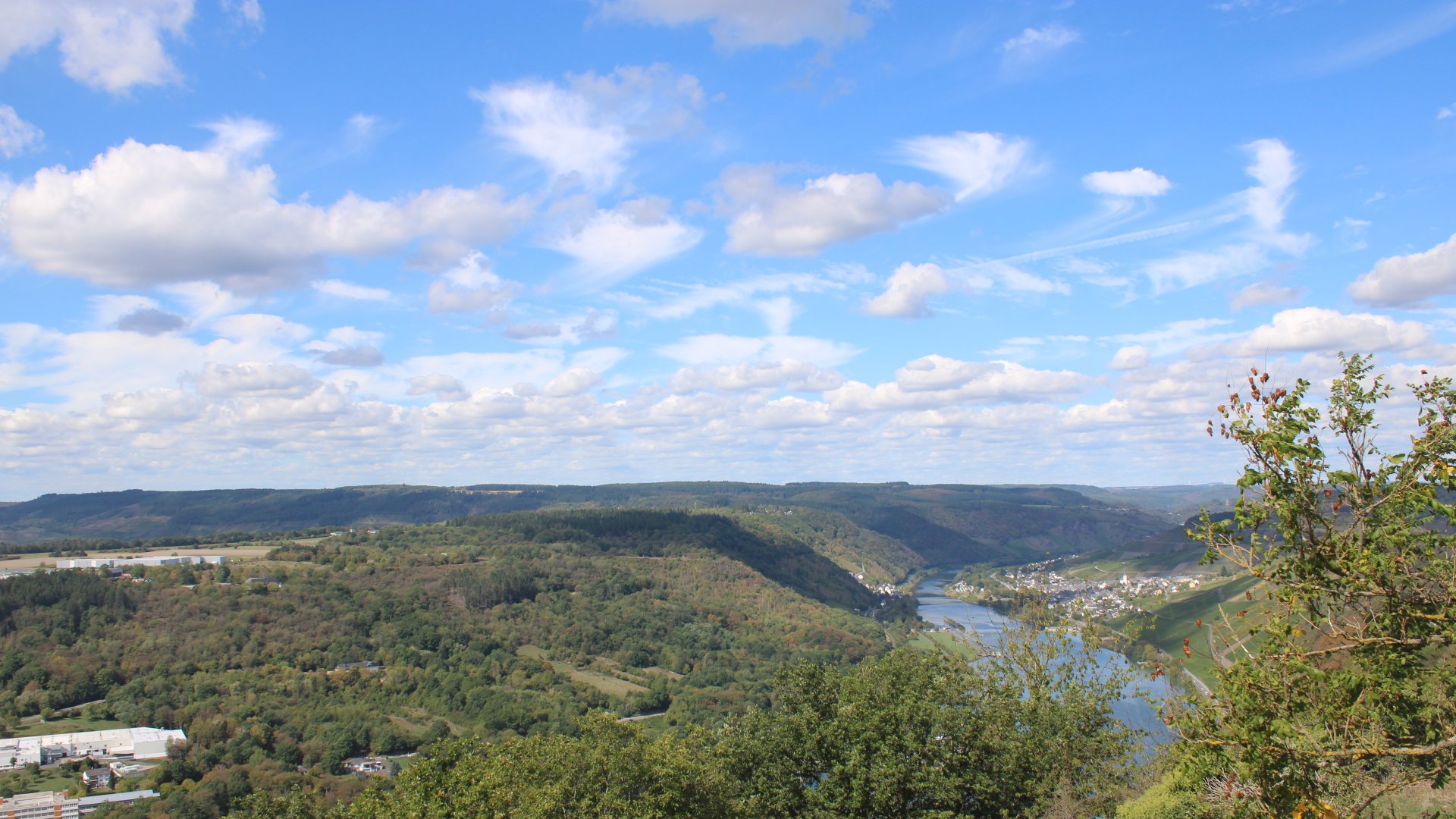 Live webcam view Starkenburg via the Mosel towards Enkirch