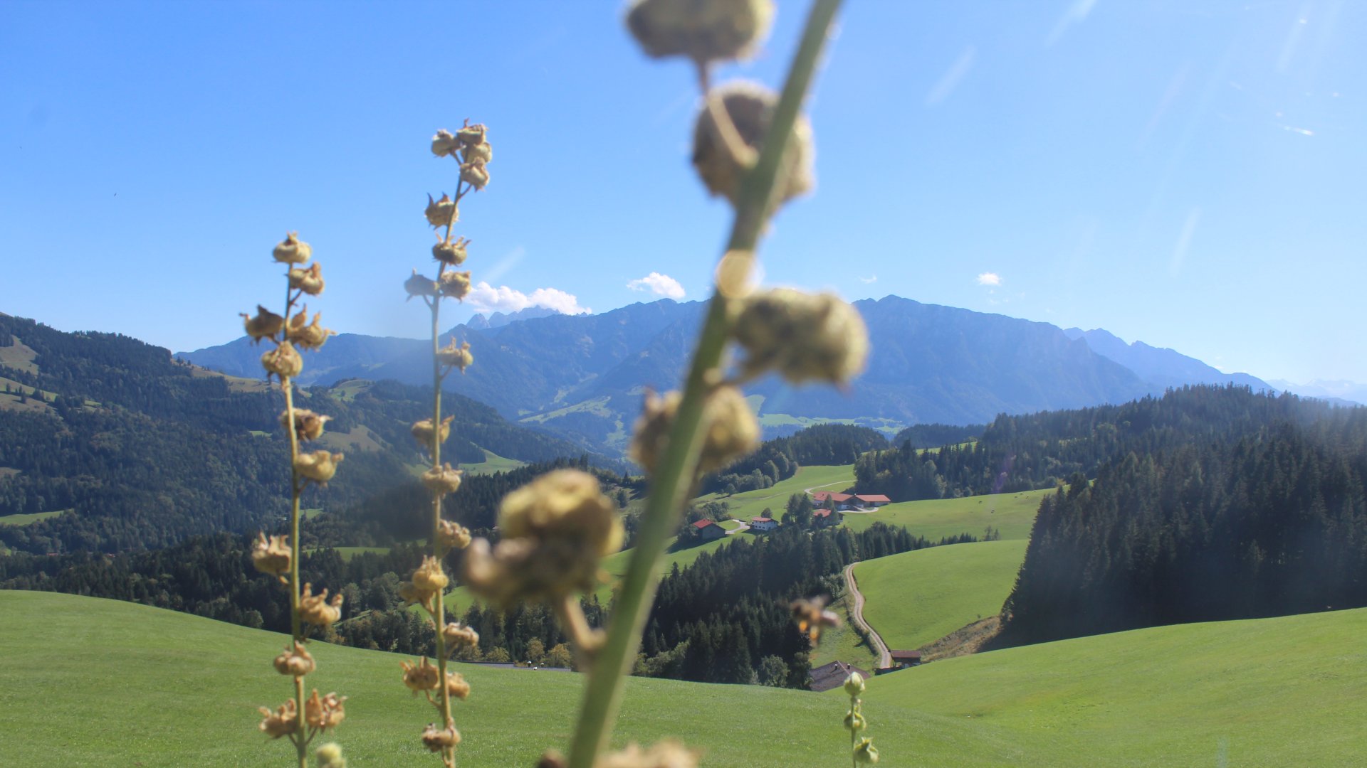 Live webcam view View south from Stoana Alm