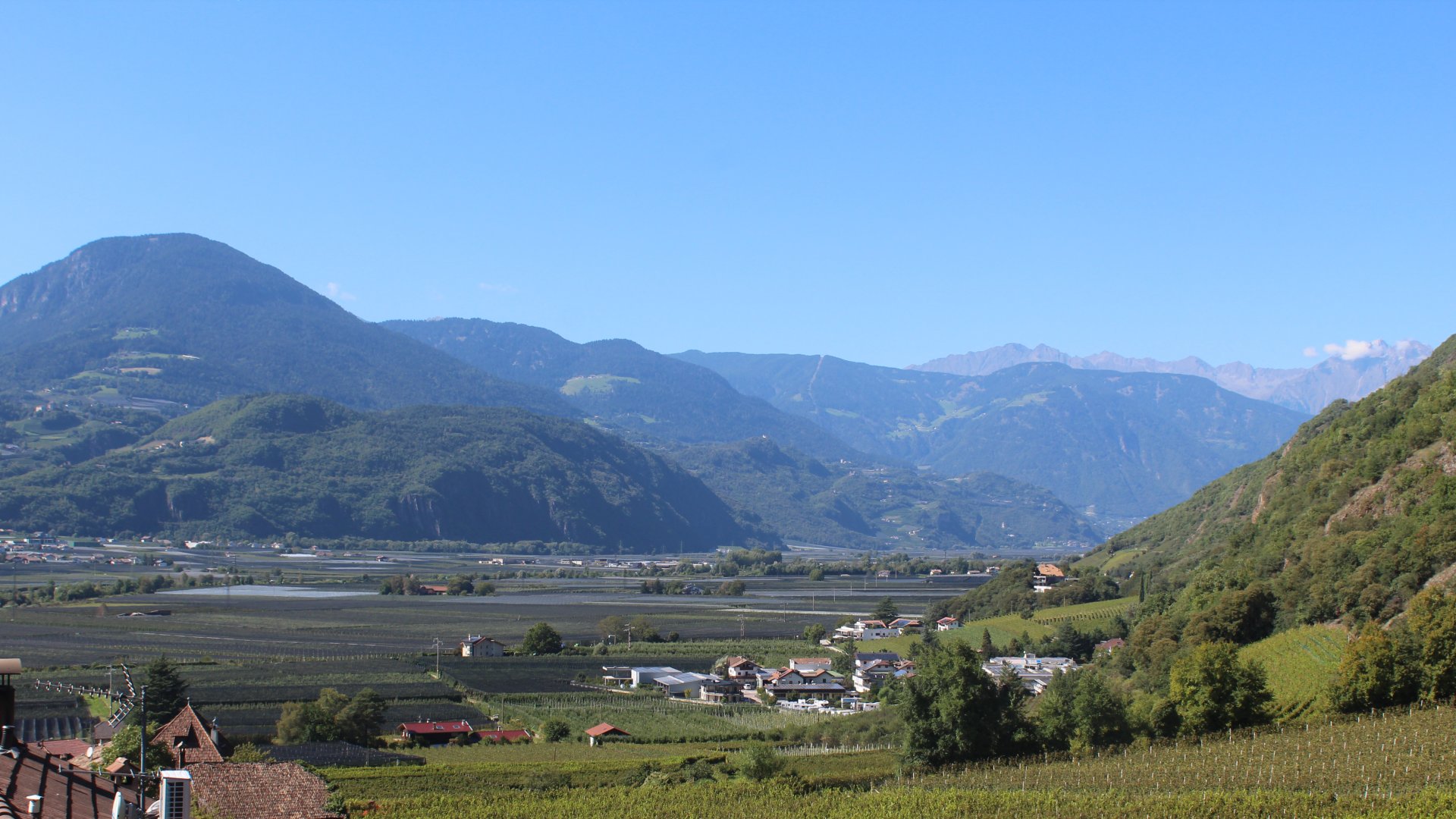 Live webcam view Terlan and the Adige Valley