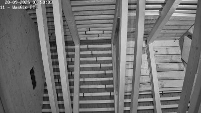 Fledermaushaus Waischenfeld #2