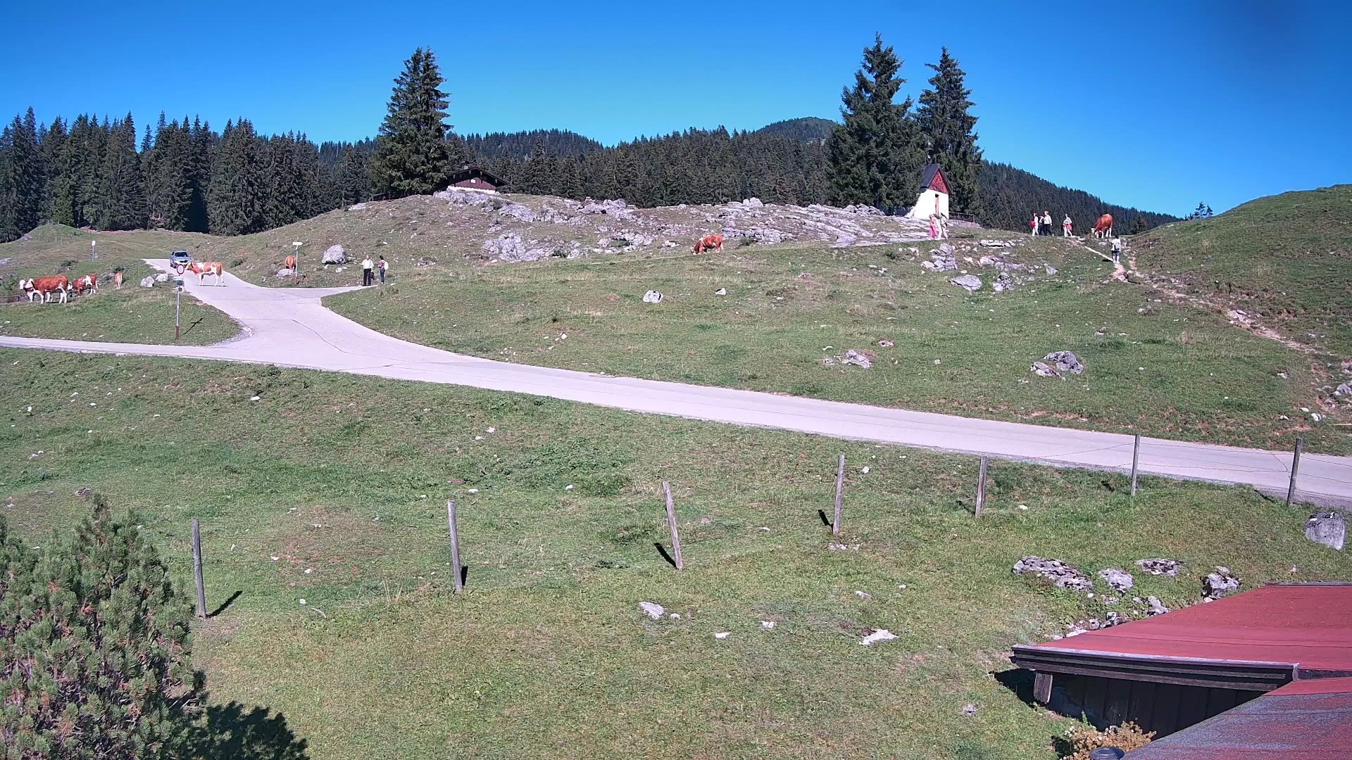 Live webcam view Winklmoosalm Snow Stake Webcam