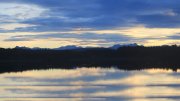 Hartsee Hartsee