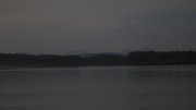 Hartsee