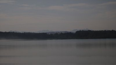 Hartsee