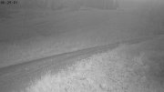 Heutal-Snow Stake