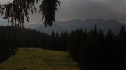Unken-Heutal