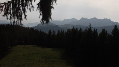 Unken-Heutal