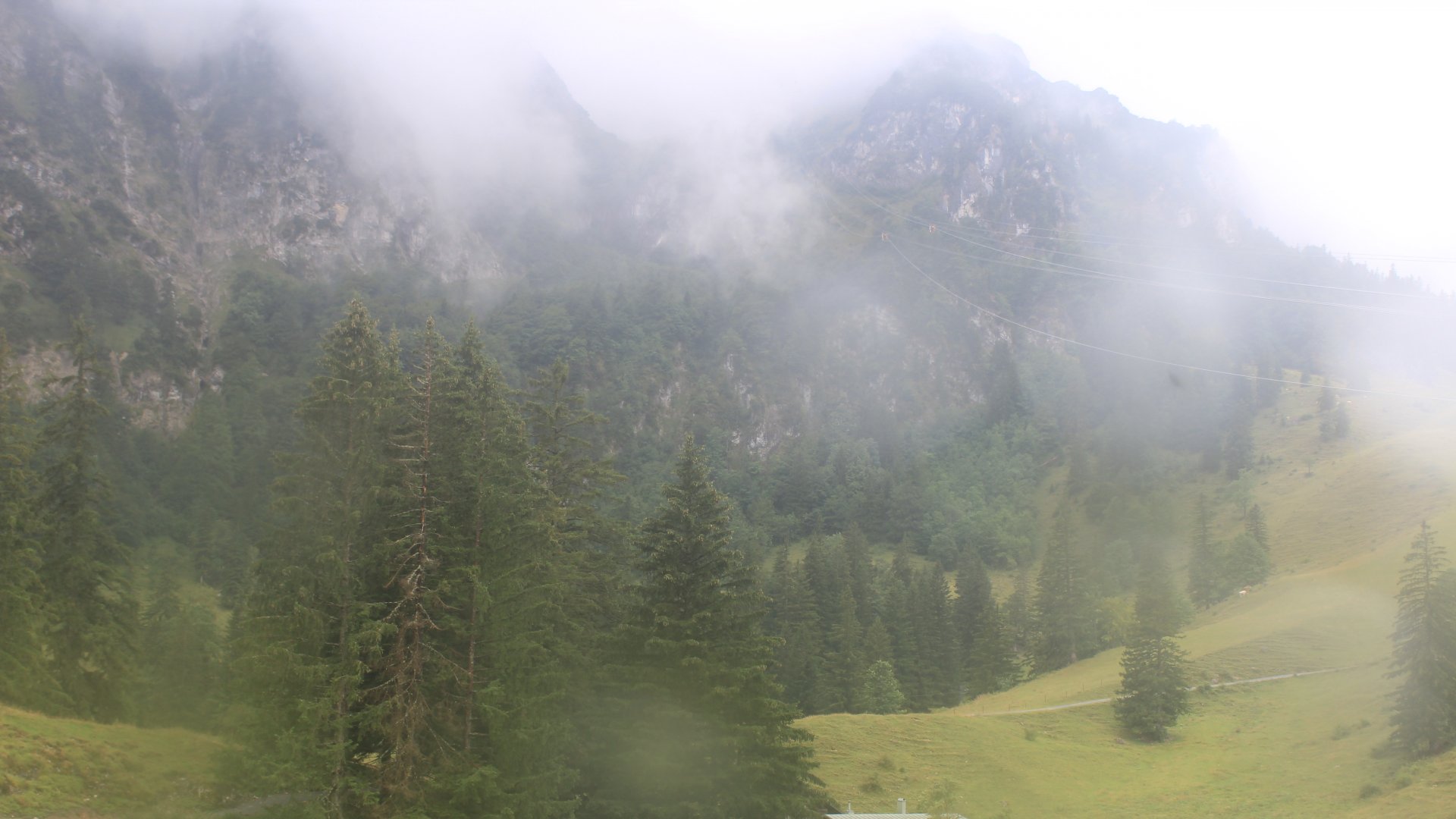 Live Ansicht Webcam Hochfelln-Mittelstation