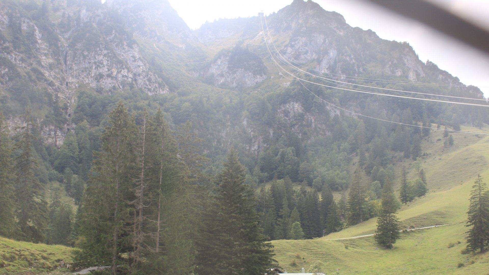 Live Ansicht Webcam Hochfelln-Mittelstation