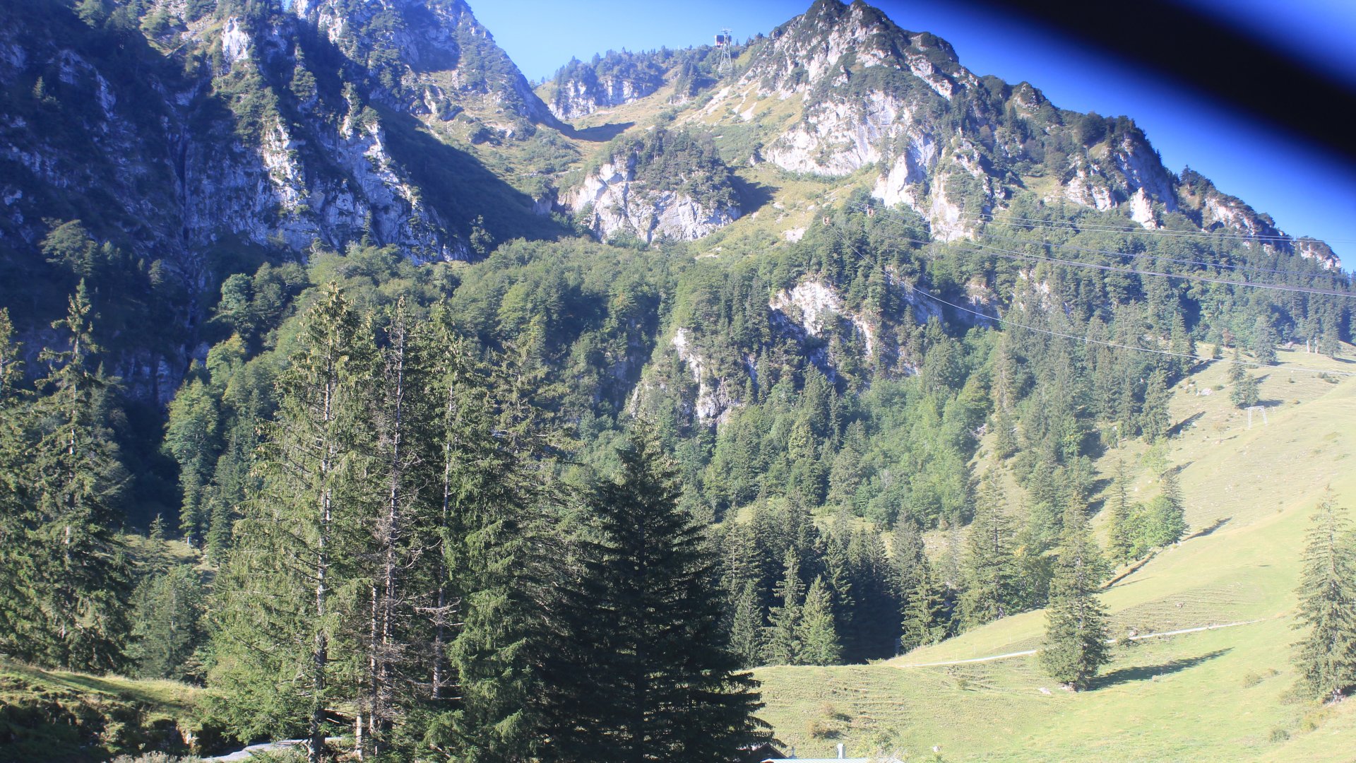 Live Ansicht Webcam Hochfelln-Mittelstation