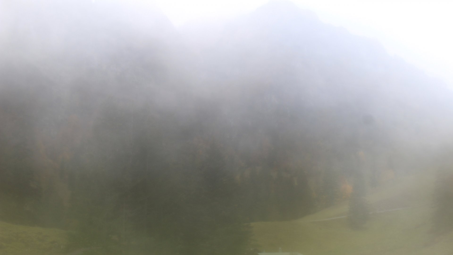 Live Ansicht Webcam Hochfelln-Mittelstation
