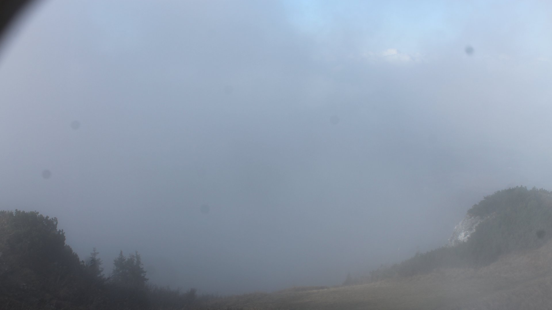 Live Ansicht Webcam Hochfelln-Nordwest