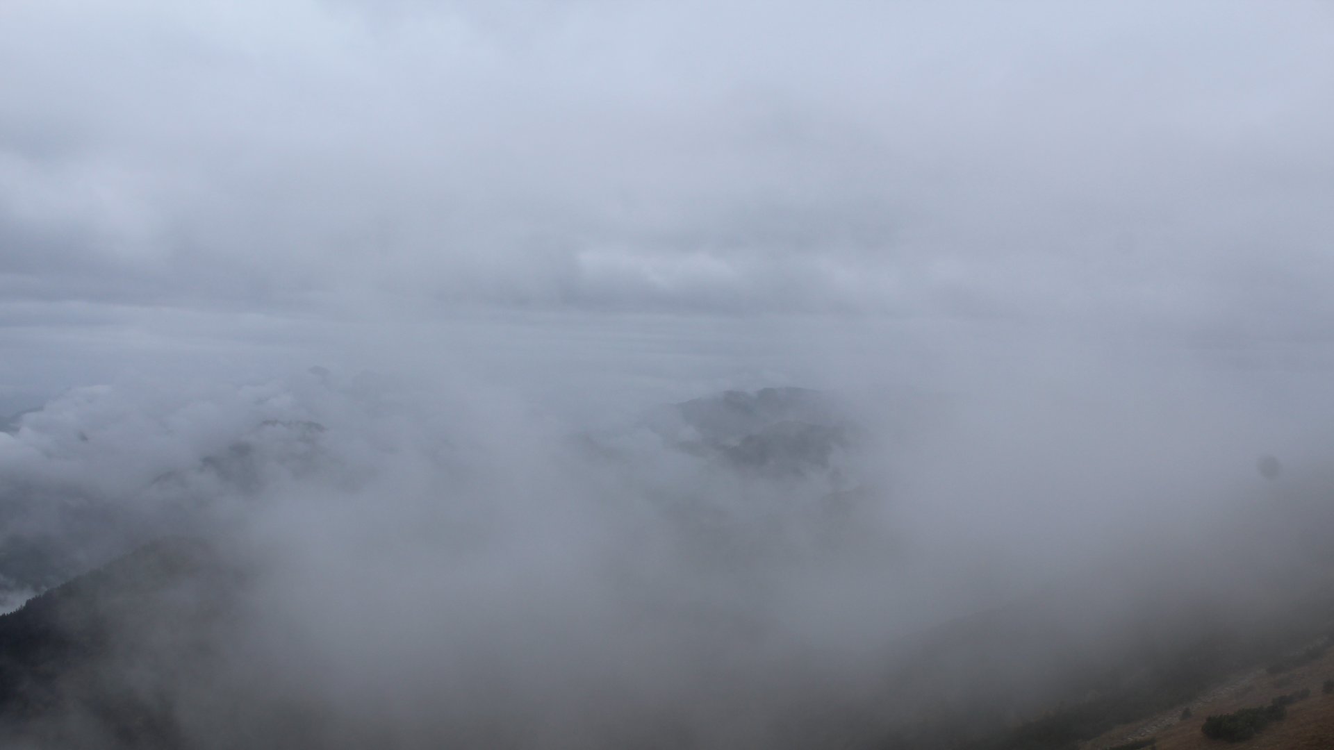 Live Ansicht Webcam Hochfelln-Süd