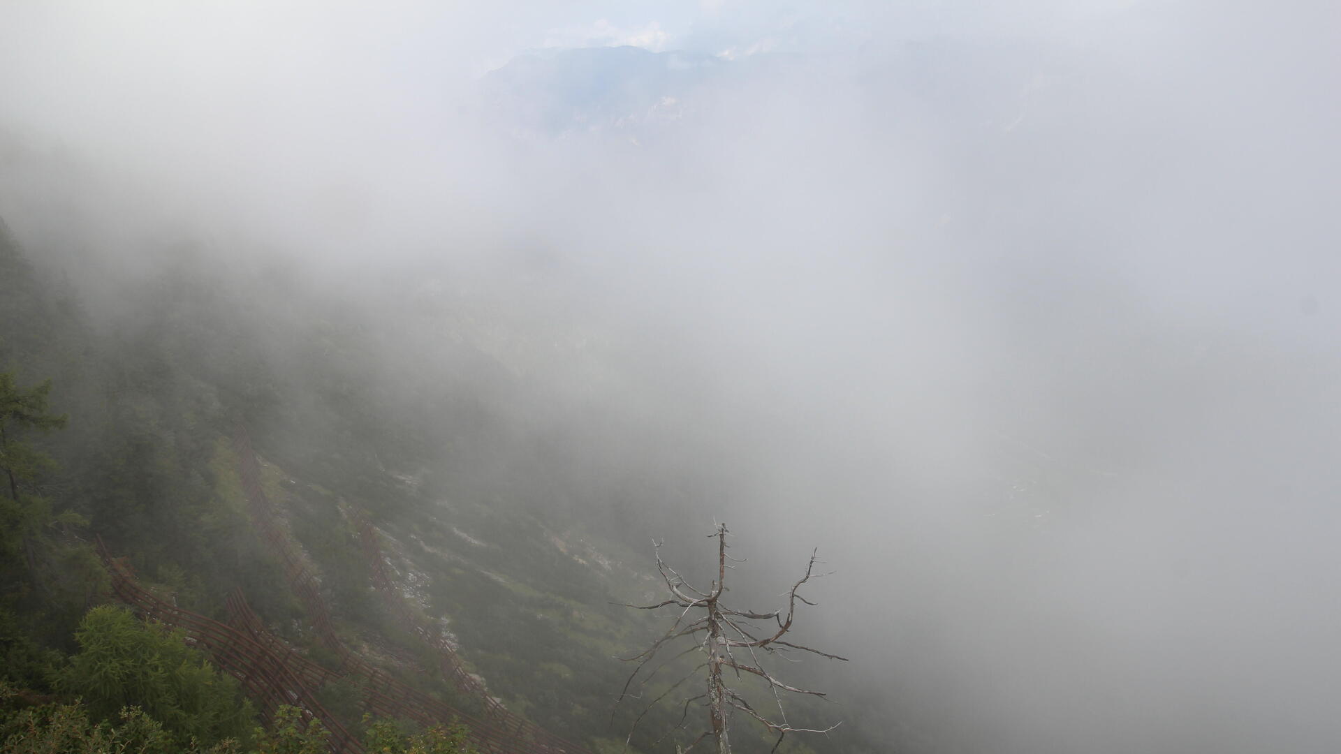 Live Ansicht Webcam Unken | Hochgseng