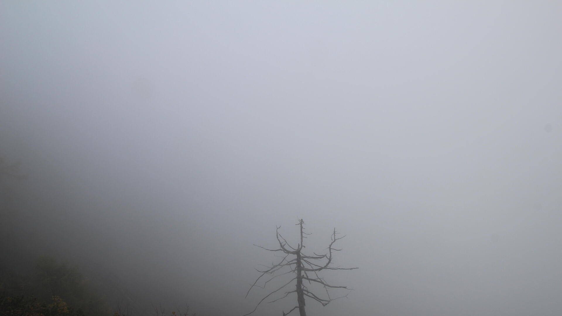Live Ansicht Webcam Unken | Hochgseng