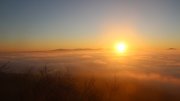 Hochwald-Ost
