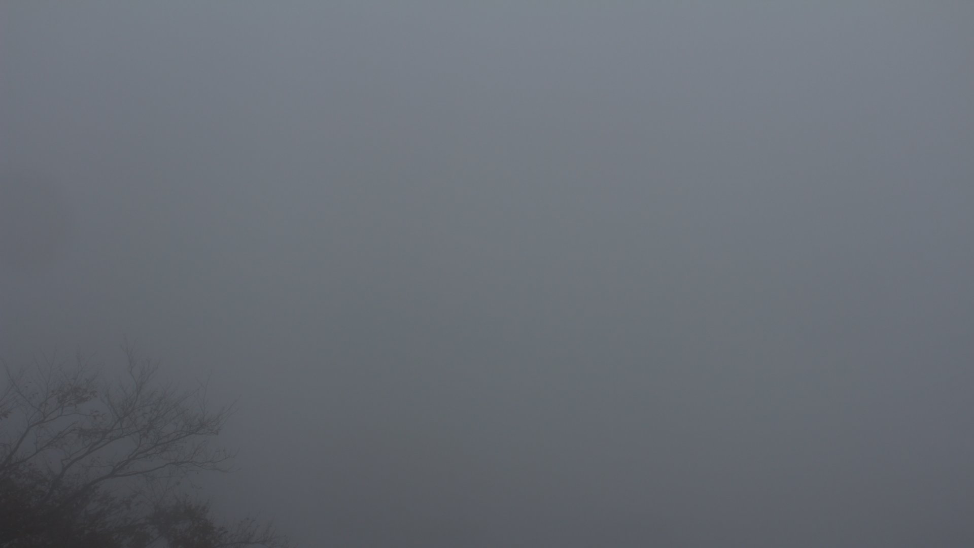 Live Ansicht Webcam Hochwaldbaude-Ost