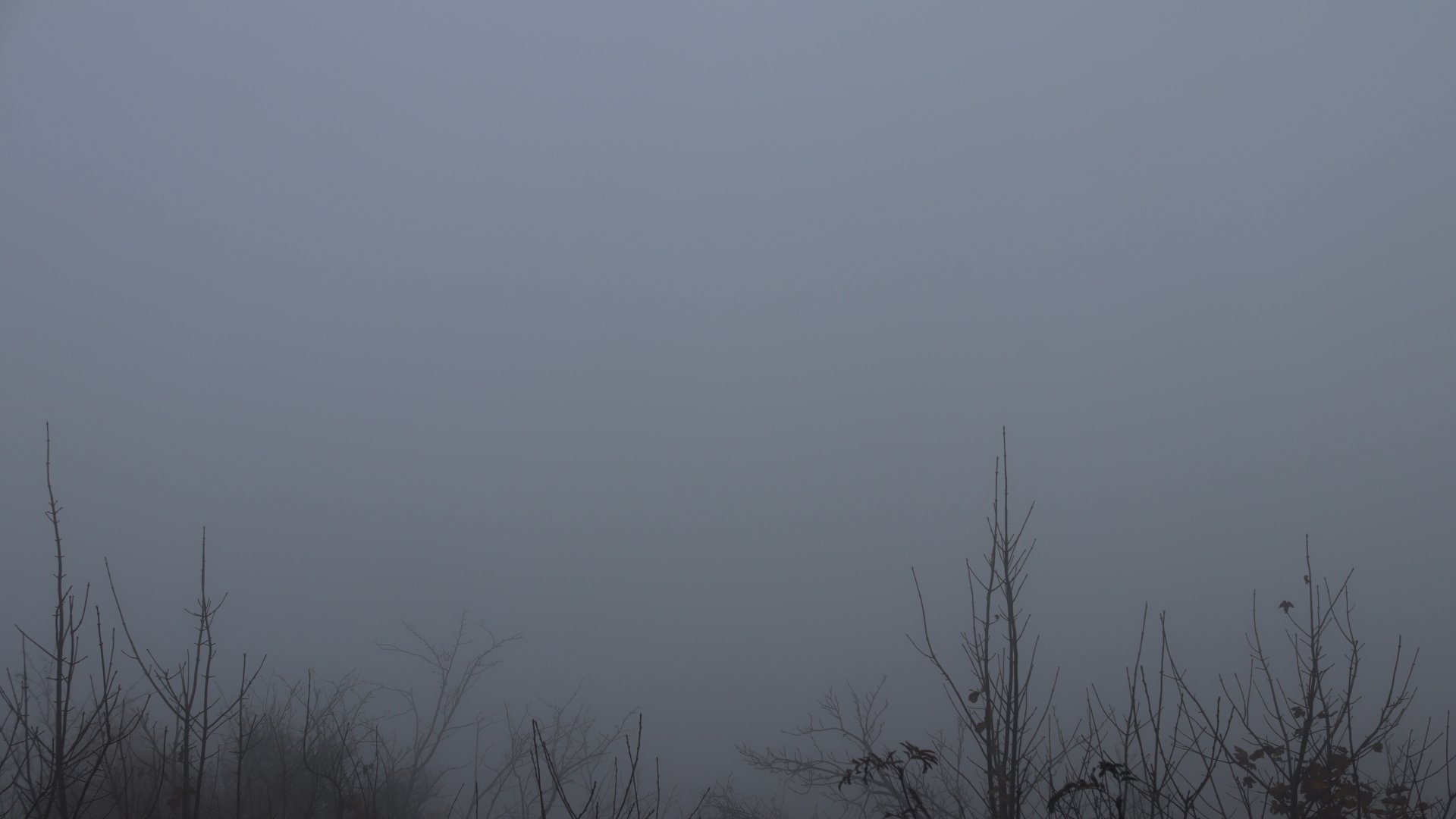 Live Ansicht Webcam Hochwaldbaude-Süd